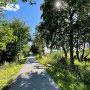 Foto: Tilda Nilsson.
Beskrivning: Min bild: Banvallen. Bilden är tagen på banvallen mellan Osbyholm och Hörby. I riktning mot Osbyholm. Här är mitt bidrag till mitt Hörby! Denna cykelvägen mellan Hörby och Osbyholm är väldigt speciellt för mig att cykla eller gå på. Den bär med sig en historia om tidigare tågräls men också charmen med att man bara går och går och man ser så långt i periferien. Jag har cyklat på banvallen sen litet barn till ung vuxen och att cykla där en fin sommarkväll kommer jag aldrig trötta på! Bilden är Hörby för mig för att det är en viktig plats där många går mellan Hörby till Osbyholm och Ringsjöstrand. Många möts, hälsar, pratas vid. Vissa är ute och går med hunden, andra med en kompis. Det är inte ofta man inte möter någon på denna vägen. Banvallen symboliserar välmående, historia och en viktig del av Hörby! 