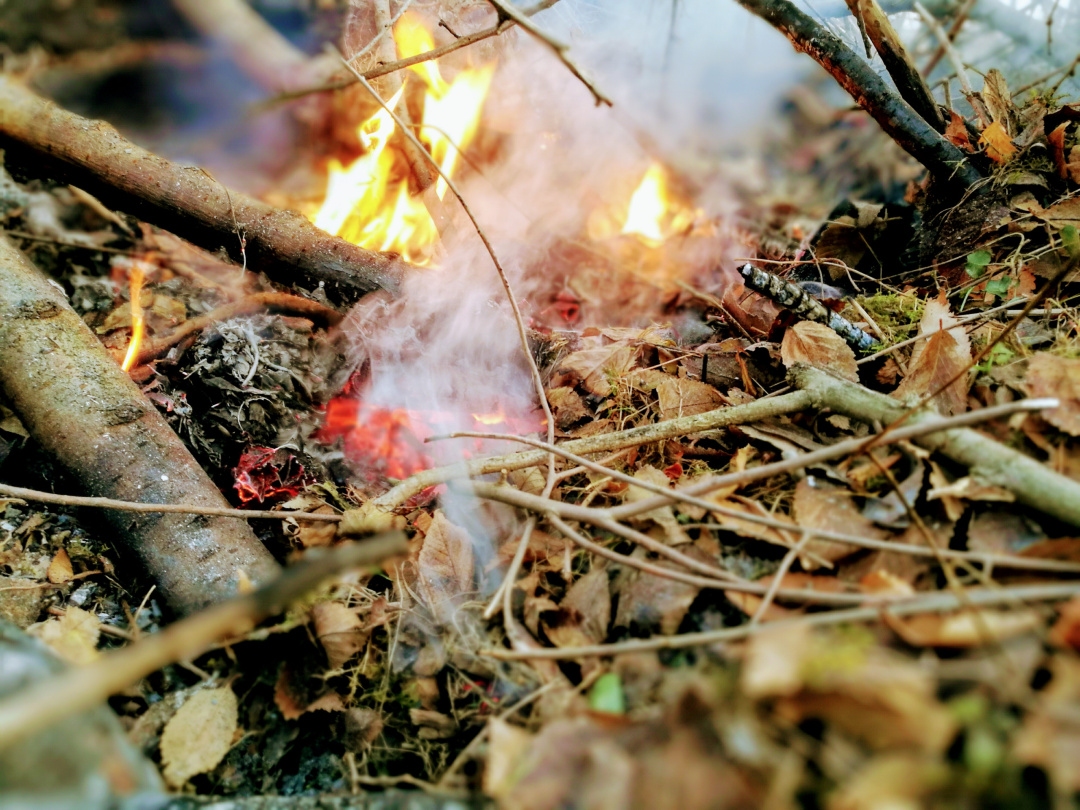 Närbild på liten eld i natur