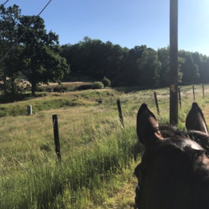 Foto: Emy Kristensson.
Beskrivning: ”naturlig återhämtning”. Banvallen förbi hjorthägnet i Ekeboda. Otroligt fint stråk för återhämtning på alla sätt gående själv, med familjen eller tillsammans med hunden, på cykeln eller som här på hästryggen. Fantastiskt på alla sätt! Nära till skogen och djurliv men ändå nära byn.