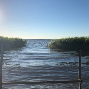 Foto: Gunvor Håkansson. 
Beskrivning: Vid Hörby Ringsjöstrand. Strandvägen. Vår vackra Östra Ringsjön. Minnen från min simskola på 1960-talet. Det var ofta kallt att lära sig simma men ett härligt minne. Efteråt köpte vi godis. Tablettaskar. Landsbygdens barn åkte  särskild  buss dit. Det  betydde mycket på den tiden när föräldrarna hade fullt upp med lantbruket under sommaren. Det var ingen möjlighet att åka i väg på semester. Bara dagsturer med bil. 
