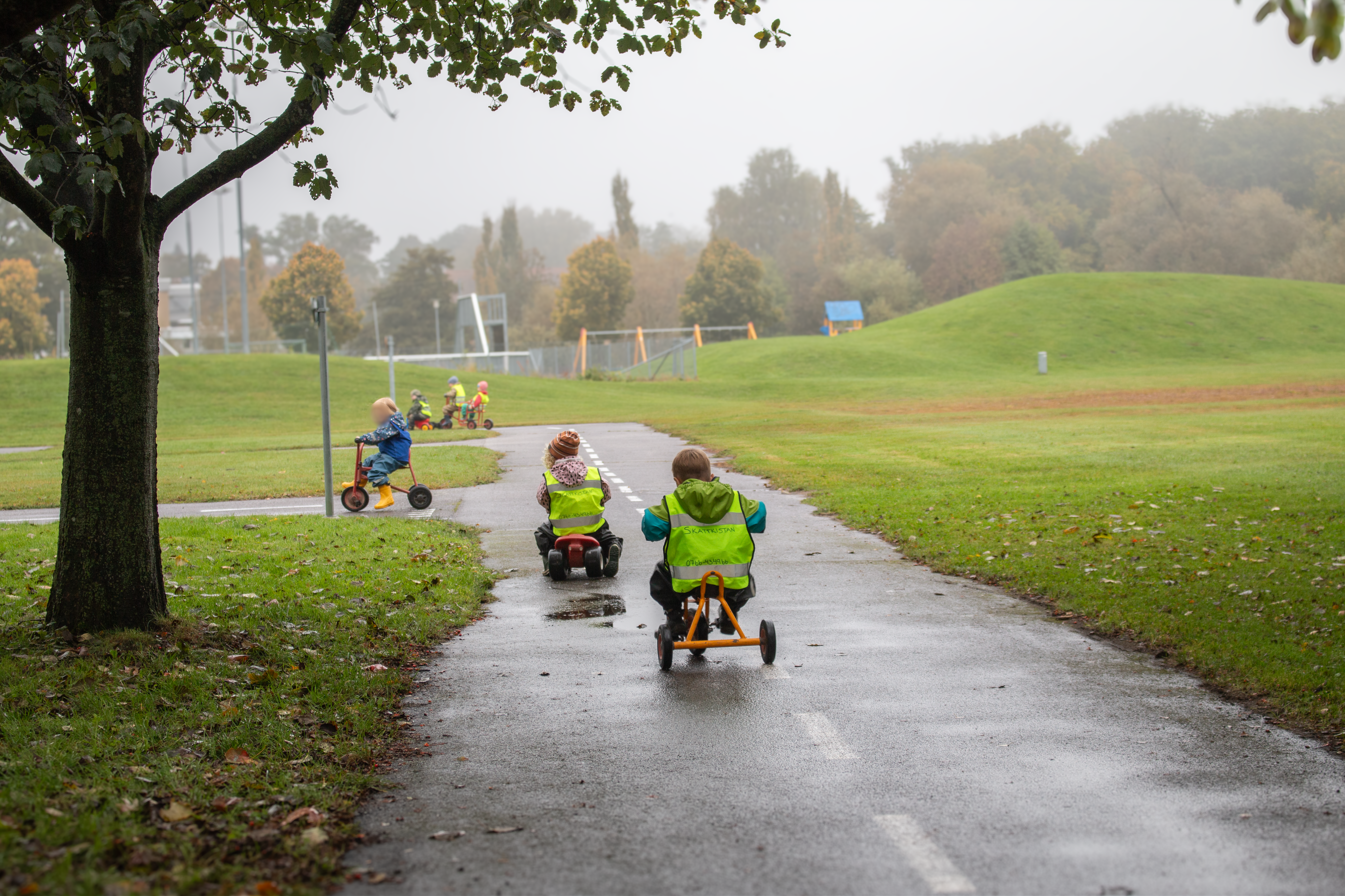 Barns ryggtavlor när de cyklar fram på trehjulingar.