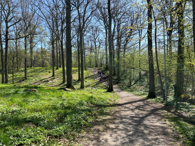 En skolklass går på en grusväg inne i skogen.