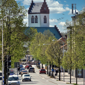 Foto: Ingemar Olofsson. 
Beskrivning: Handelsorten Hörby. 
En vårlig Storgata till byns centrum. 
