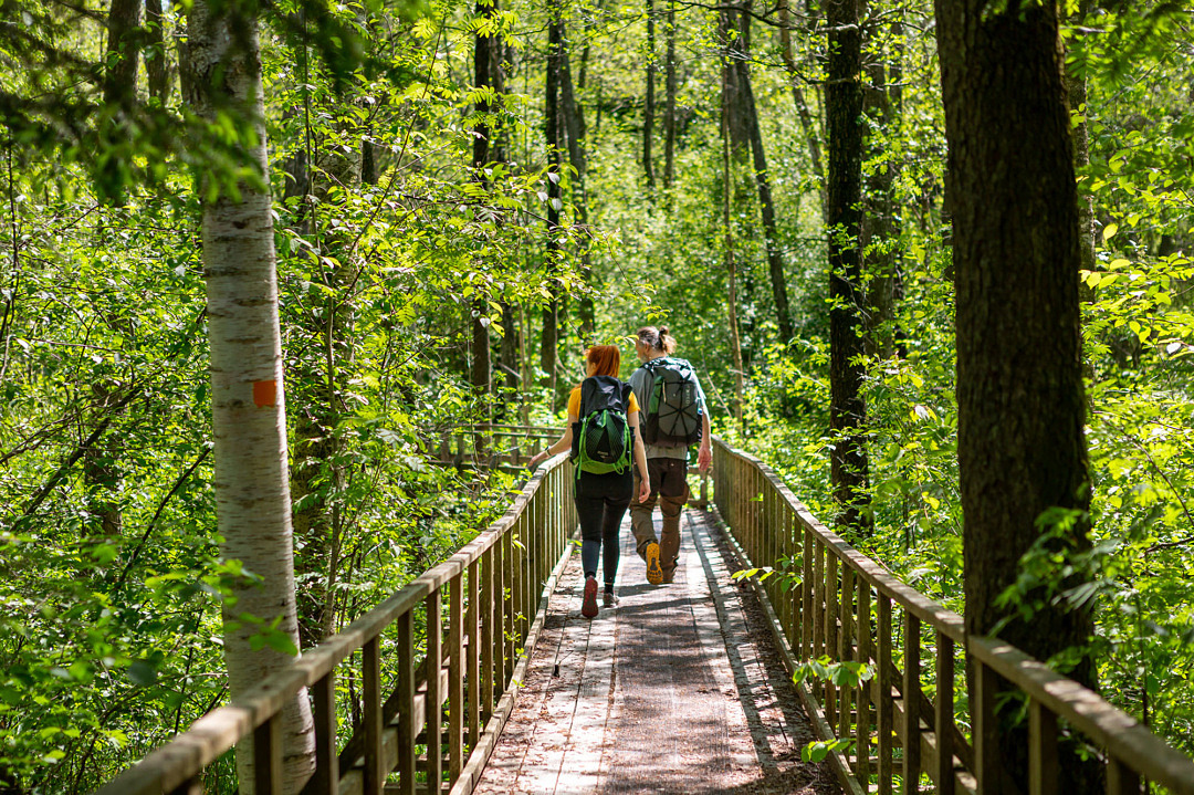 Två personer går på en bro i en grönskande skog.